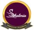 Shalmia Makeup Artist
